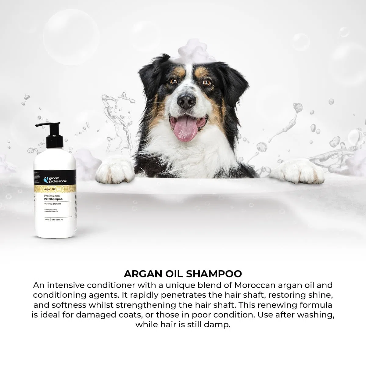 Groom Professional Champú para perros con aceite de argán (4 L) – Tamaño de salón 10: 1 concentrado, con aceite de argán y vitamina E, hidrata, protege y repara el pelaje seco