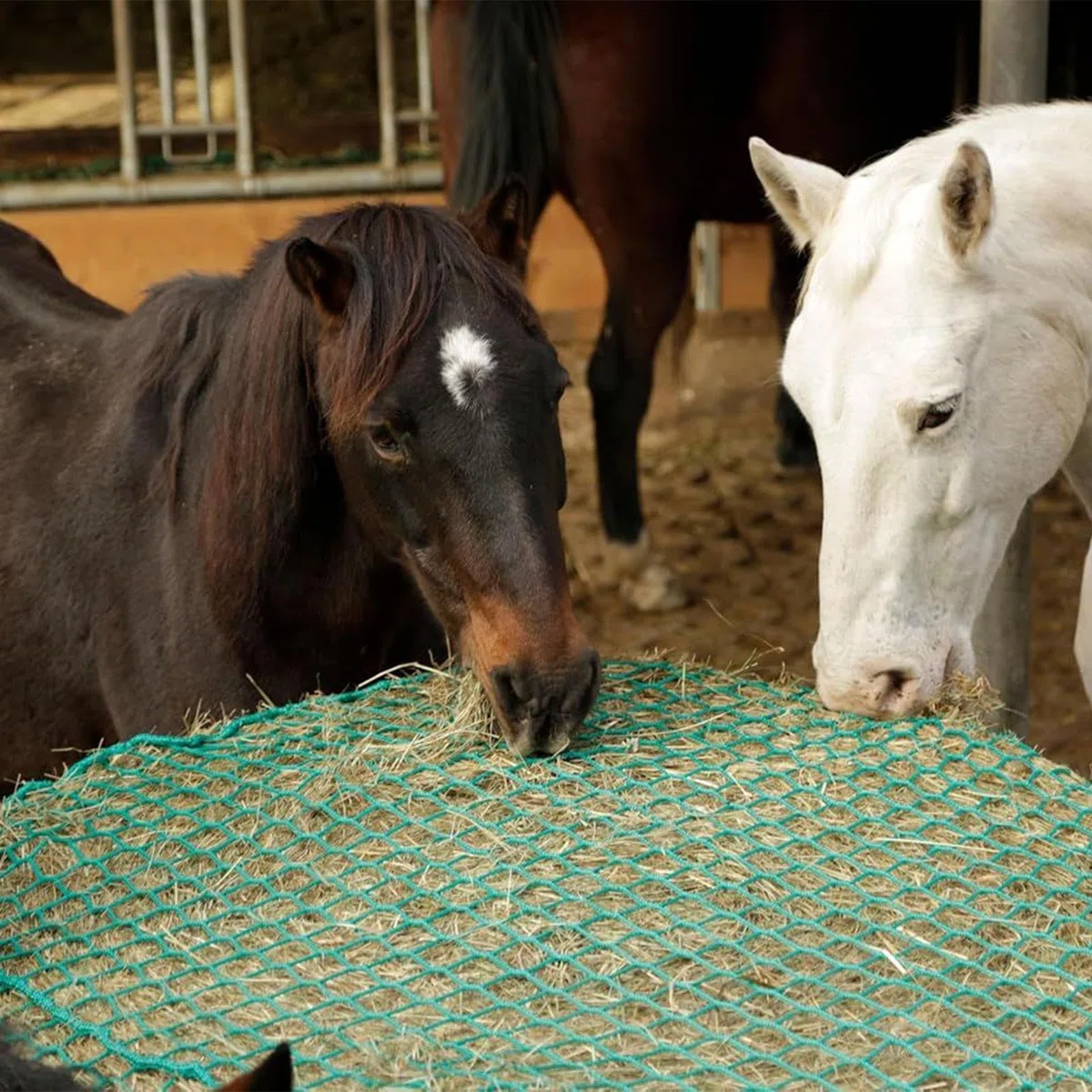 Red para Heno Organizador De Alimento Para Caballos
