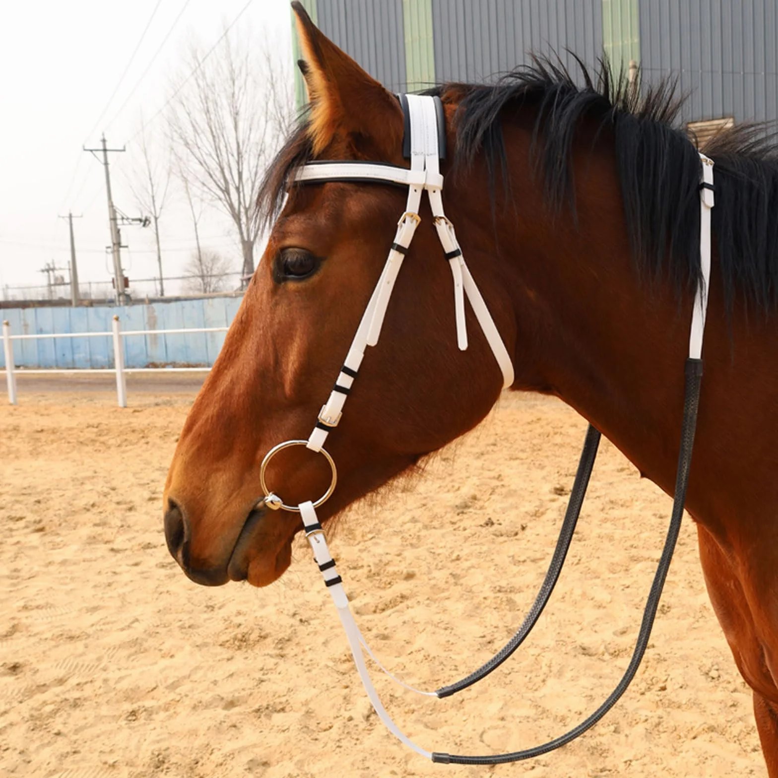 Cabeza de jaula de nylon pesada ajustable, Talla multicolora ajustable anatómica impermeable del caballo del PVC L for los caballos sobre el 1.35m(Lake Blue)
