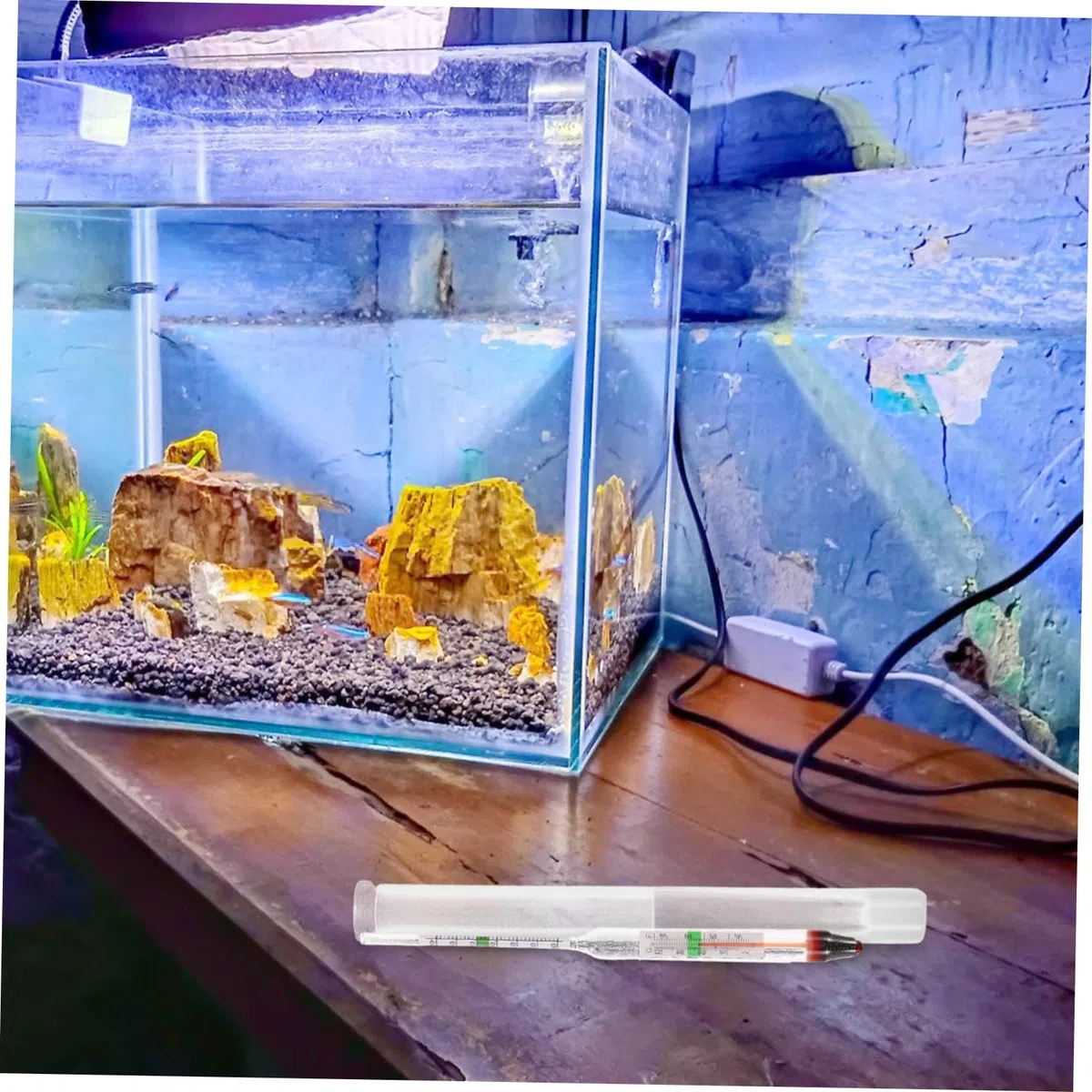 POPETPOP 10juegos Medidor De Salinidad para Acuarios Salinómetro Preciso Vidrio para Tanques De Peces y Acuarios Fácil De Usar y Duradero Rango De Medición