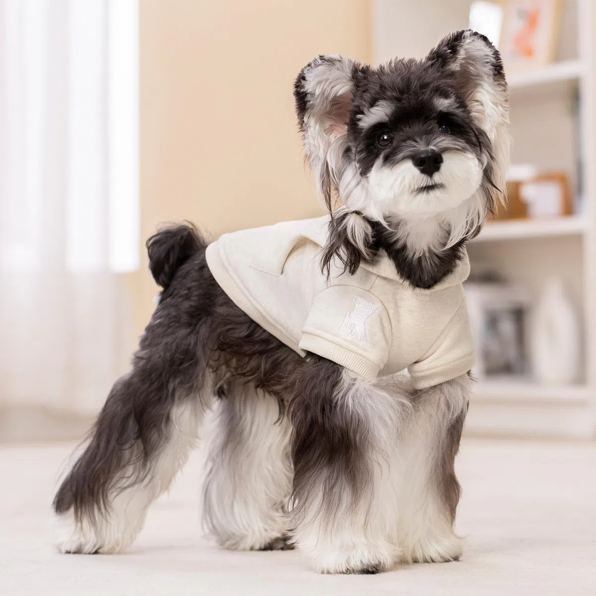 Koneseve Sudadera con capucha para perro, suéter de gato cálido con bolsillo, ropa suave para el uso diario, sudaderas básicas con capucha, ropa de abrigo de invierno, camiseta cómoda para todas las