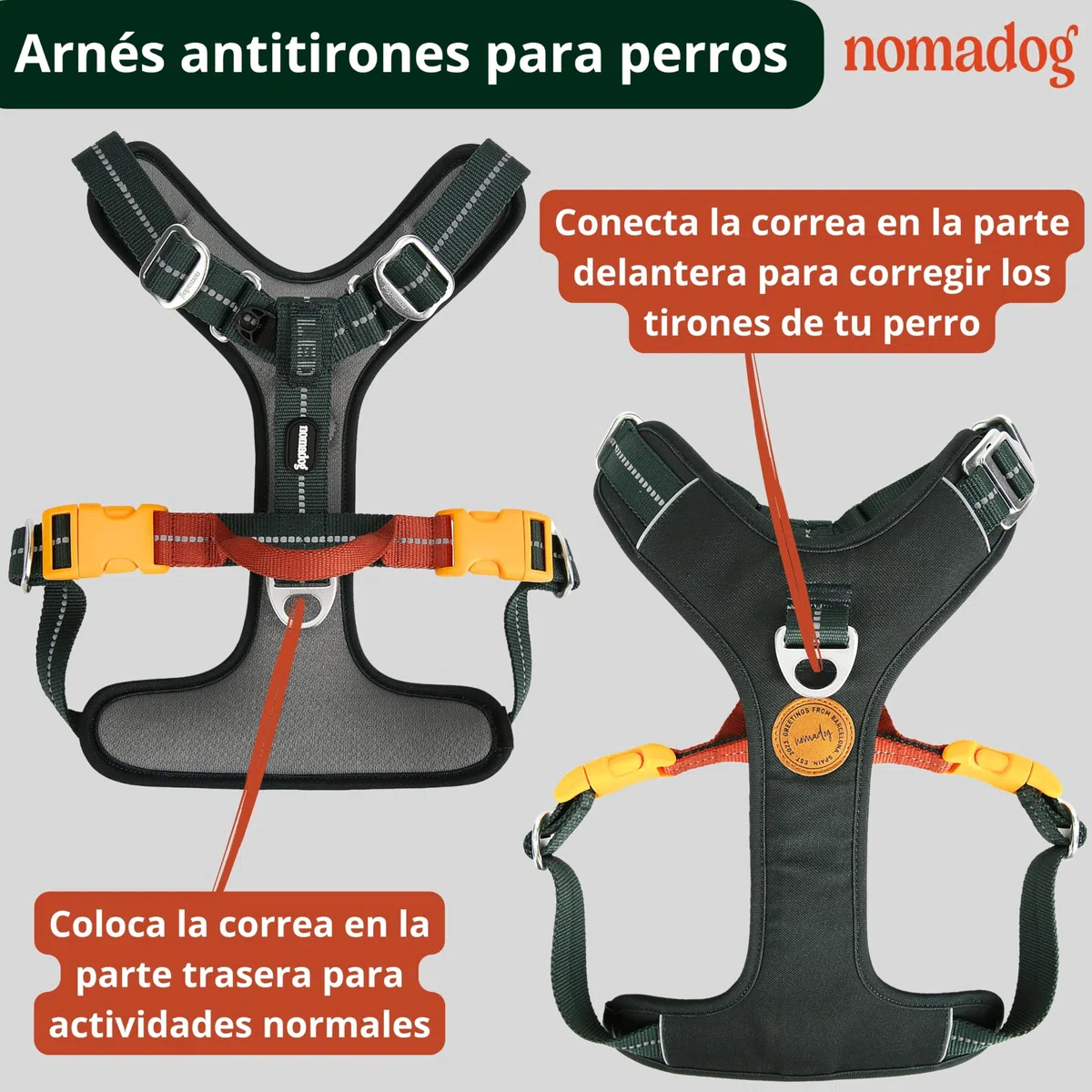 Nomadog Trailblazer Arnes Perro Grande Sin Tirones con Asa - Ajuste Óptimo, Reflectante 3M, Aluminio No Oxidante, Materiales Reciclados - Ideal para Perros Activos (L)