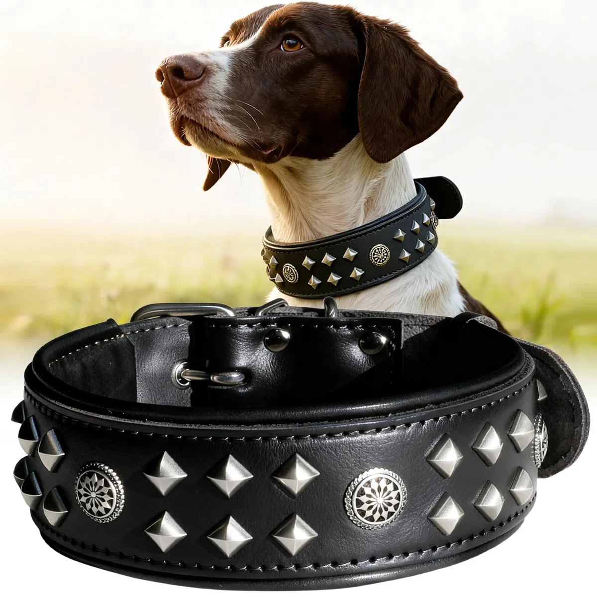 EliteGuard Collar de Perro Cuero 5,6 cm de ancho, Negro, M