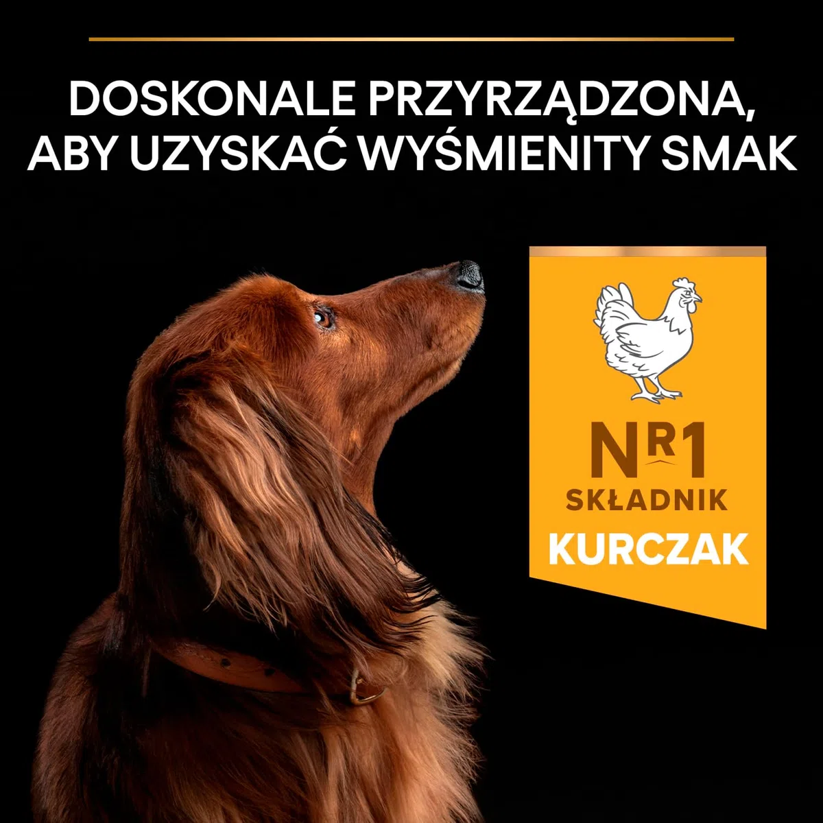 Pro Plan Purina Small & Mini Adult OPTI Balance Chicken Comida para Perros - 7000 gr