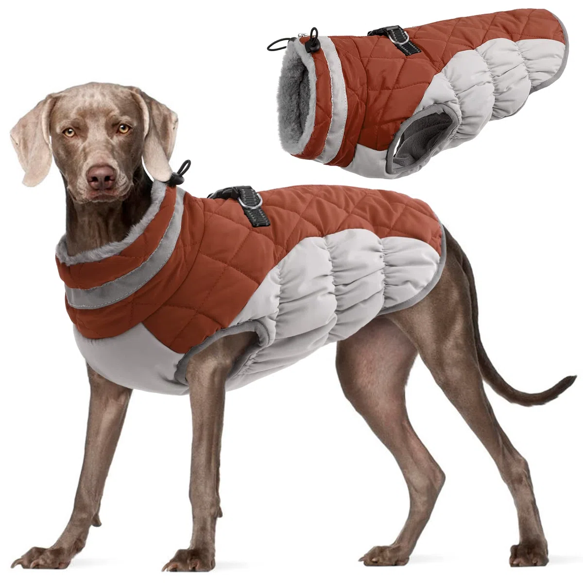 Kuoser Perros Abrigo, Impermeable Chaqueta arnes Perro de Invierno, 3XL | Perros Chaqueta impermeable, abrigo cálido de invierno con cremallera, tiras reflectantes y cordón ajustable para exteriores