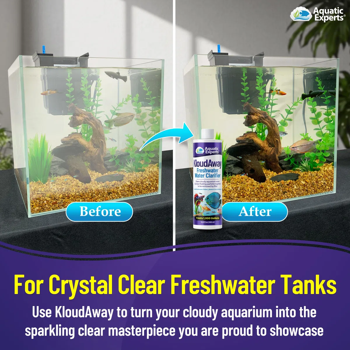 KloudAway Clarificador de agua para acuario de agua dulce, limpia agua nublada, clarificador de agua para pecera, fabricado en Estados Unidos (250 ml)