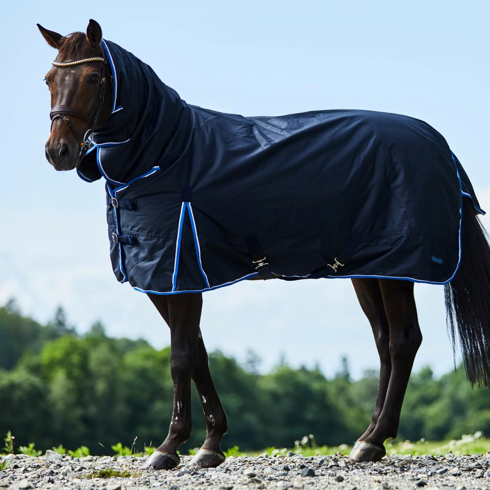 HORZE Glasgow - Manta de caballo de invierno de peso medio impermeable con cubierta para el cuello (relleno de 150 g), color azul oscuro, 75 pulgadas