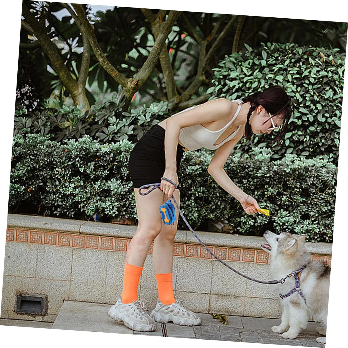 BESPORTBLE Bolsa Dispensadora para Excrementos de Perro con 8 Rollos, de Tela Oxford con Cremallera, para Paseos al Aire Libre