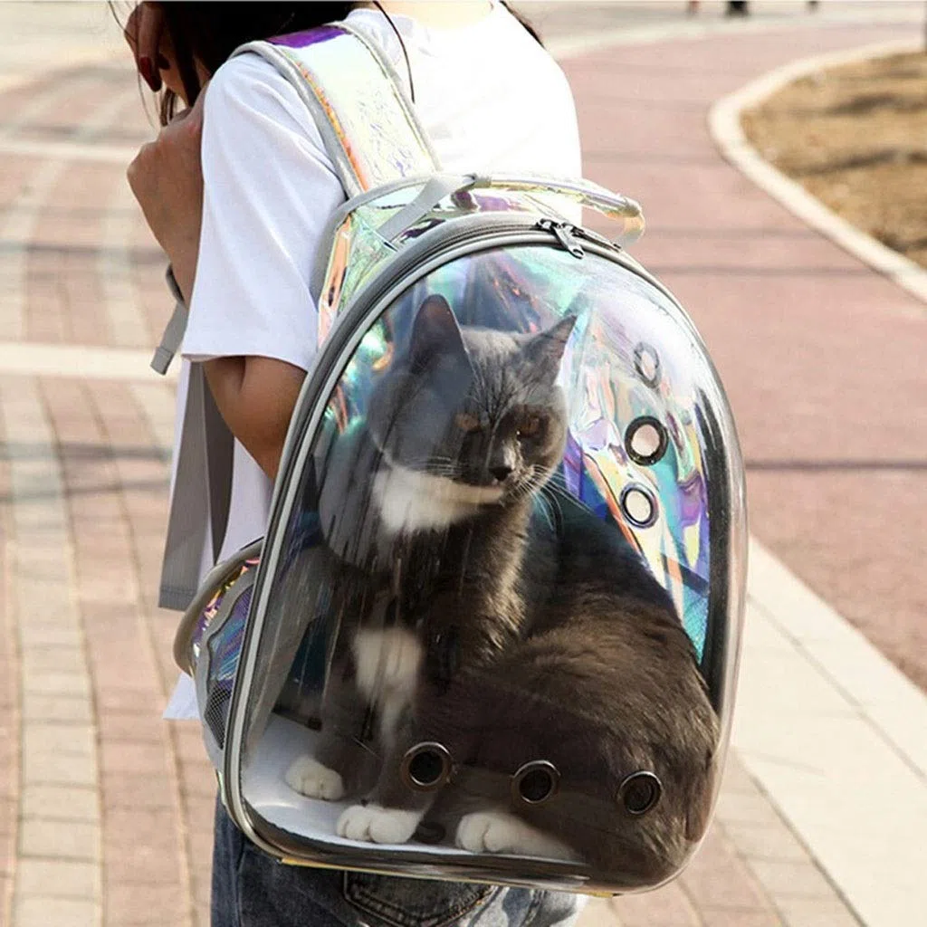 Bolsa de hombro transparente del gato del animal doméstico hacia fuera bolsas de mascotas bolsa mochila portátil de espacio grande gato Cápsula espacial transparente Panorama Productos para Animales