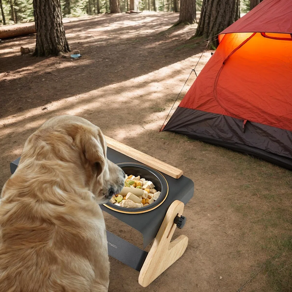 Cuenco elevado, juego de soporte de alimentación para camping, de altura