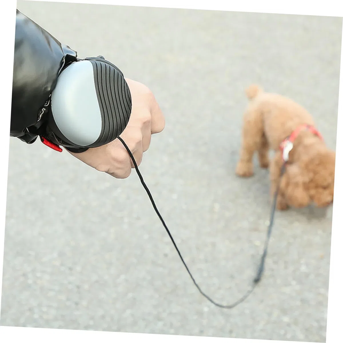 1pieza Correa De Perro Automática Extensible De Strap De Tracción para Mascotas Cuerda De Nylon Cómoda y Ligera para Paseos y Entrenamiento