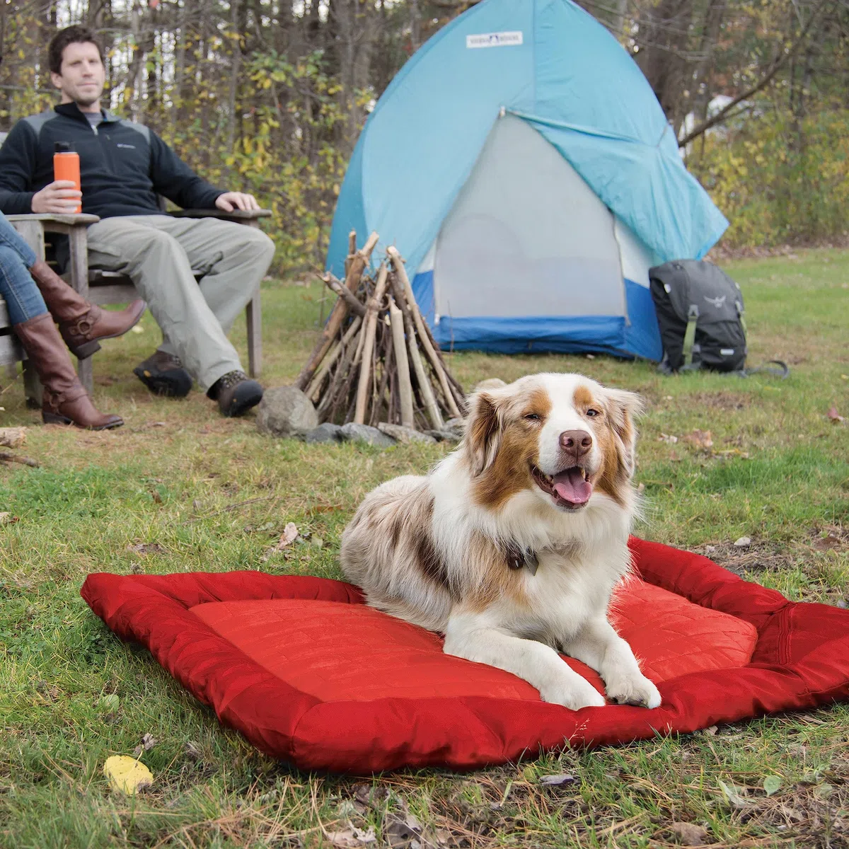 Kurgo Loft Wander Bed - Cama para Perros Grandes, Colchón para Perros, Cama para Mascotas, Cojín Lavable, Base Impermeable, Asa para Transporte – M