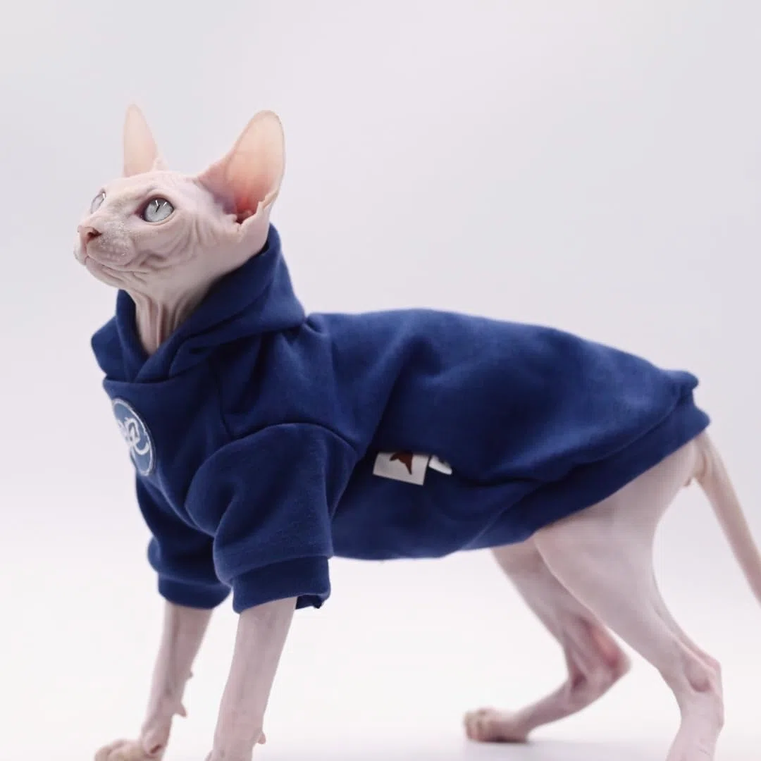 Sphynx - Ropa para gatos – Sudadera gruesa y cálida con capucha y chaleco para gatitos sin pelo, Devon, Cornish, Peter Bald Kittens (mediano)