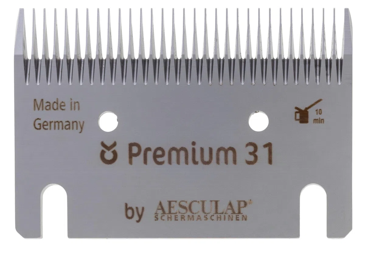 Constanta 3 Spareblades-Set, Standard T15/31