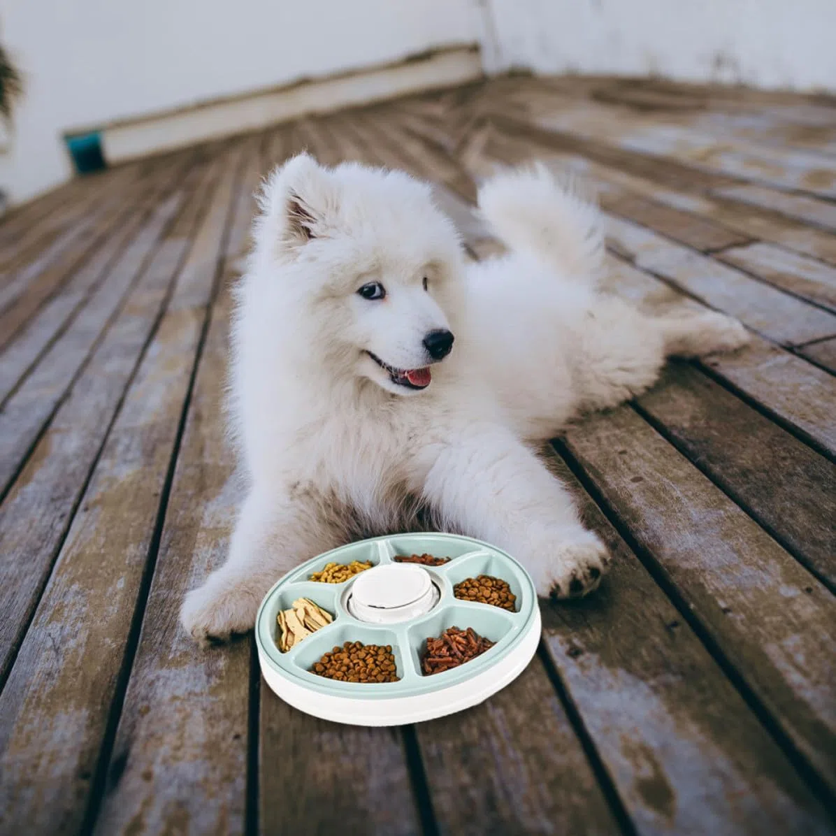 Comedero Automático para Perros Temporizador y 6 Comidas, Diseño Desmontable y Base Antideslizante, Adecuado para Colocar Esquina