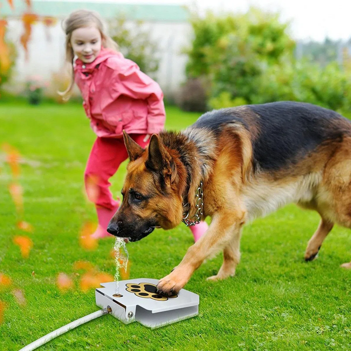 Juguetes Fuente De Agua para Perros Exterior Dispensador De Agua para
