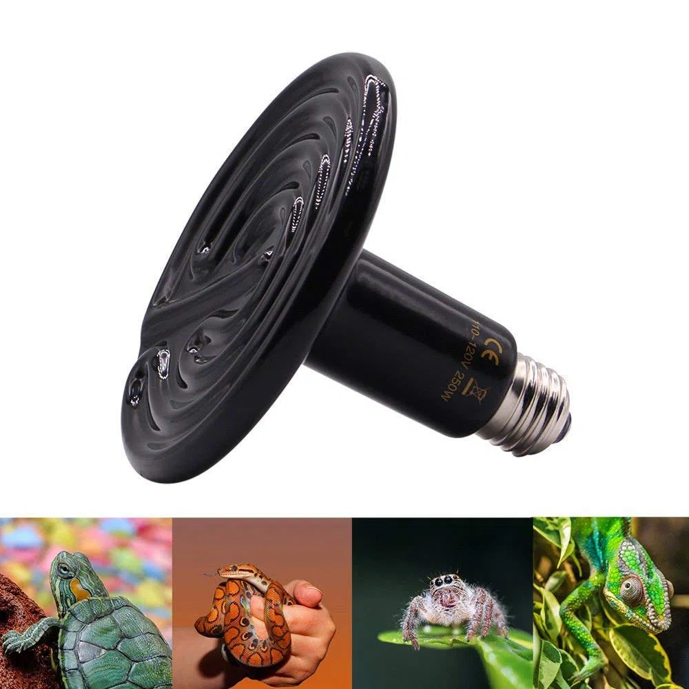 Lámpara de calor para reptiles de 250 W, calentador de cerámica infrarrojo para mascotas, accesorios para tanque de reptiles, accesorios para anfibios, criadores de mascotas, gallineros, lagartos