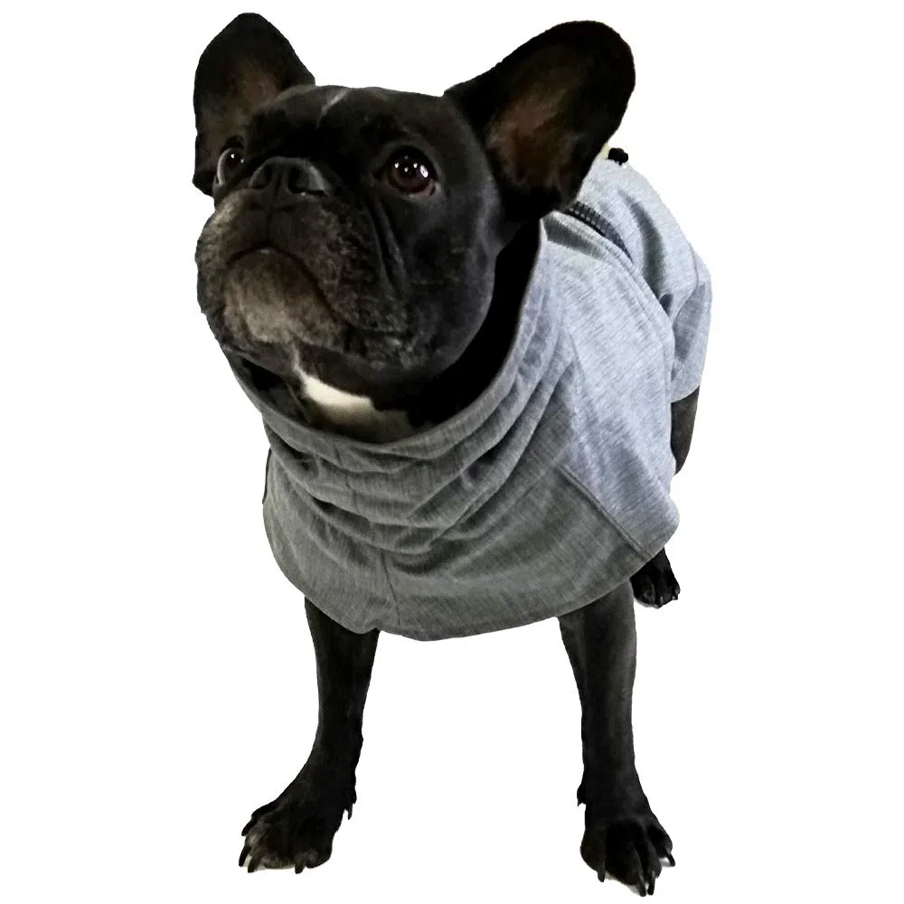 Abrigo de Senderismo para Perro Cross Impermeable para Perros, Abrigo Acolchado de Invierno, Forro termopilo, Gris Everest, Talla 50 cm - 380 g
