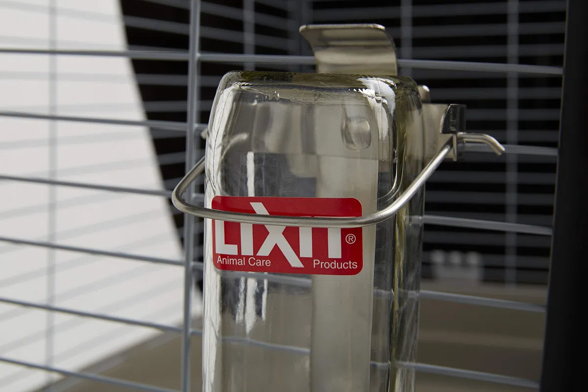 Lixit Glass Bird Water Bottle 32 oz Medium Tube 7/16 in GB32M by