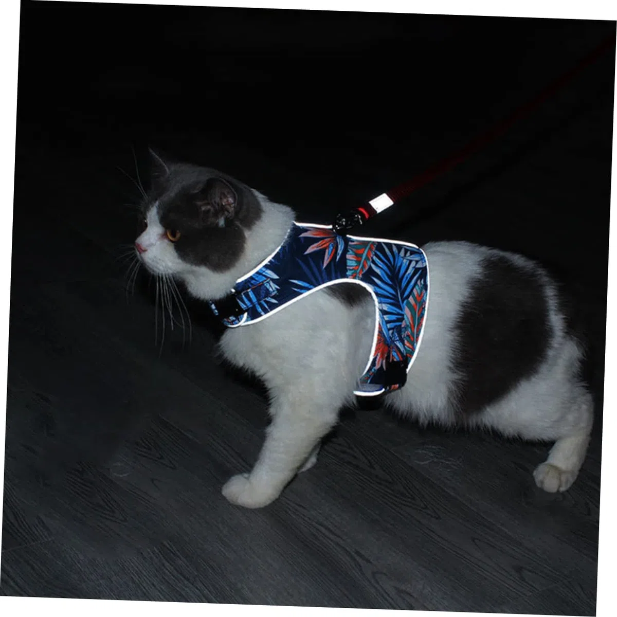 YARNOW 3 Juegos De Correa para Gato Chaleco Reflectante Chaleco De Malla para Gato Chaqueta para Caminar para Gatos Correa para Caminar para Perros Reflectante para El