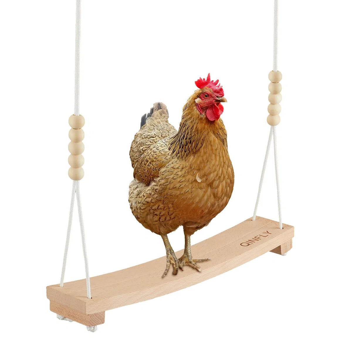 Columpio de pollo para gallinas Juguetes de pollo para gallinas