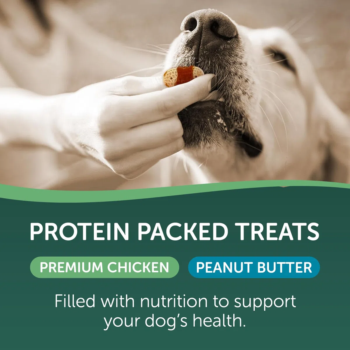 Healthfuls Galletas para Perros con Sabor a Pollo y Mantequilla de maní, 16 onzas