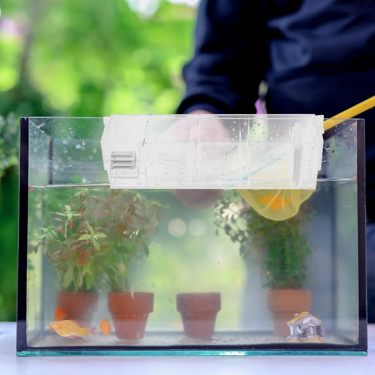 Hemobllo Caja de Filtro para Acuario Colgante con Bomba Silenciosa, Material Acrílico, Diseño Transparente y Fácil de Usar para Peceras