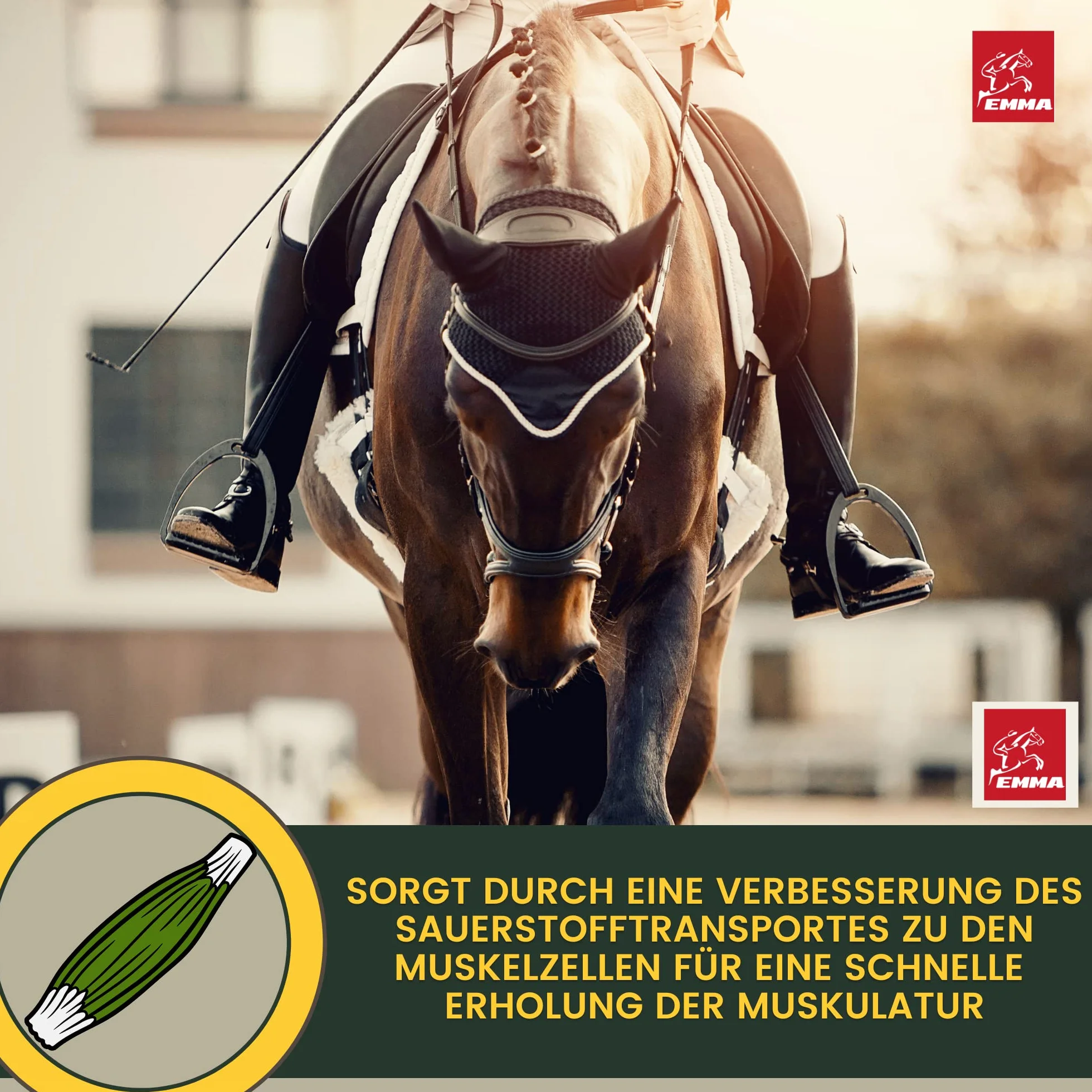 Pasta vitamínica para Caballos Aminoácidos Caballo Amino Vitamina E Levadura de Cerveza Energía Alimento reconstituyente para músculos doloridos Regeneración Rendimiento Muscular Musculación 3 * 30ml