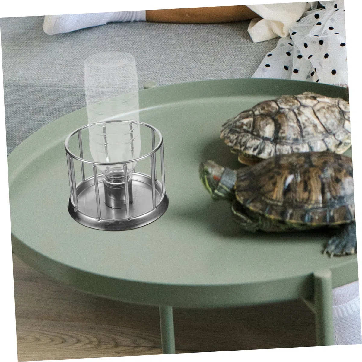 BESPORTBLE 4piezas Mini Comedero De Agua para y Reptiles Cuenco De Acero Inoxidable para Terrario Alimentador Multifuncional para Mascotas Pequeñas para y Lagartos