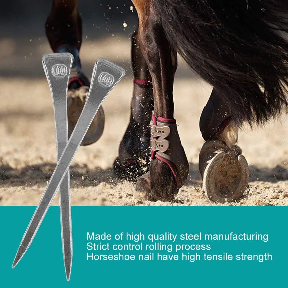 Los Clavos De Herradura, Los Clavos De Herradura De Acero, Los Clavos De Cabeza De Caballo con Doble Cabeza, Son Una Herramienta para Mantener La Pezuña Estable