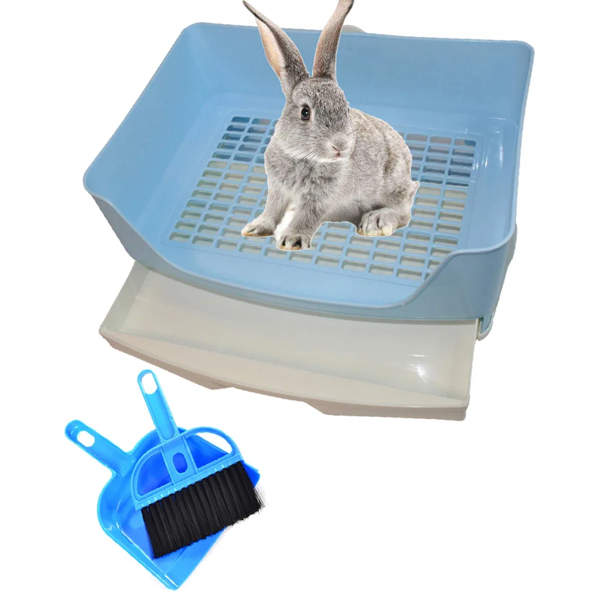 PINVNBY - Caja de arena para conejos de Indias, tamaño grande, para mascotas con cajón, caja de inodoro para perros y conejillos de indias, chinchilla hurón erizo pequeños animales (azul)