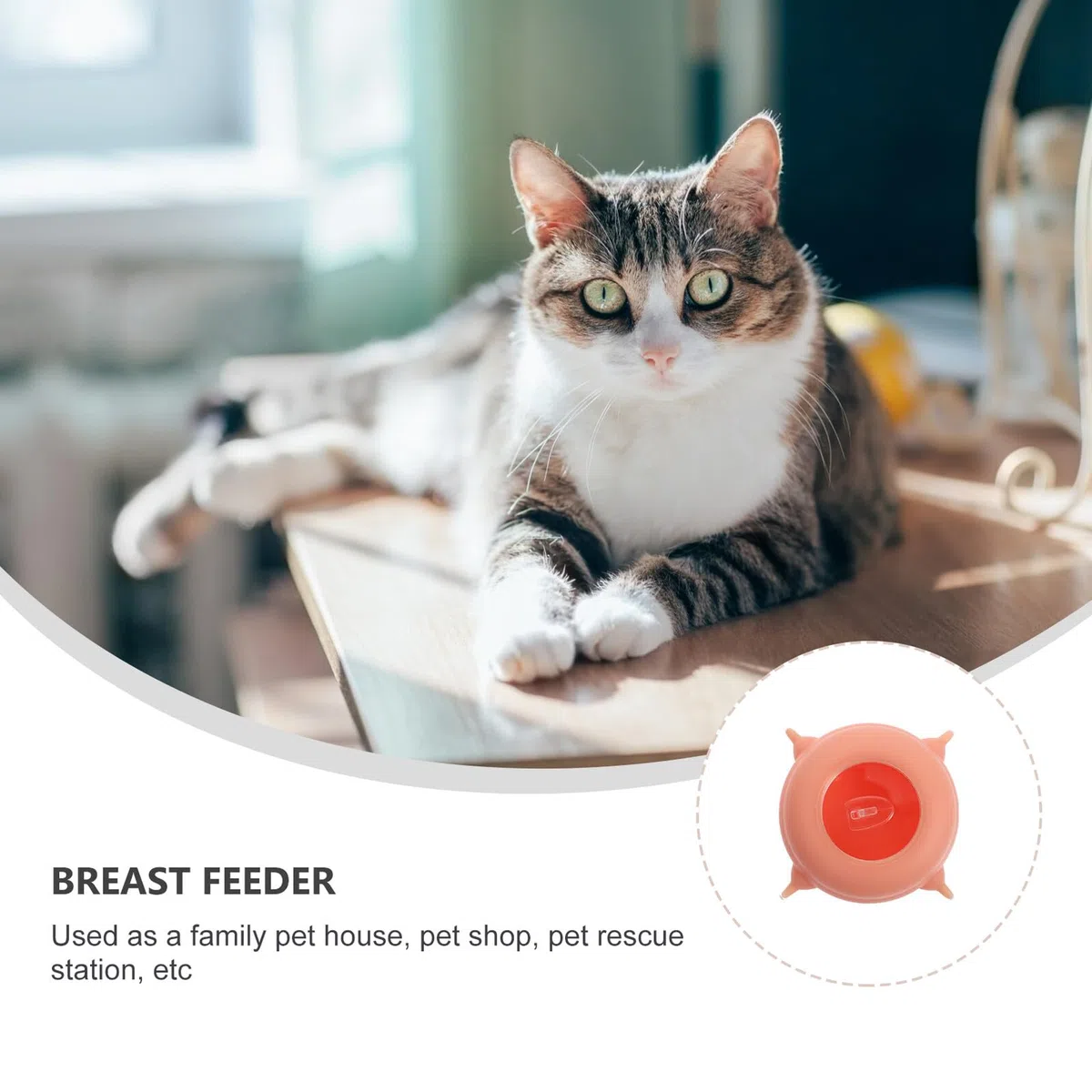 ifundom Comedero de Leche para Mascotas Recién Nacidas Tetinas de Silicona, 200ml, Accesorio para Alimentación de Cachorros y Gatitos en Casa