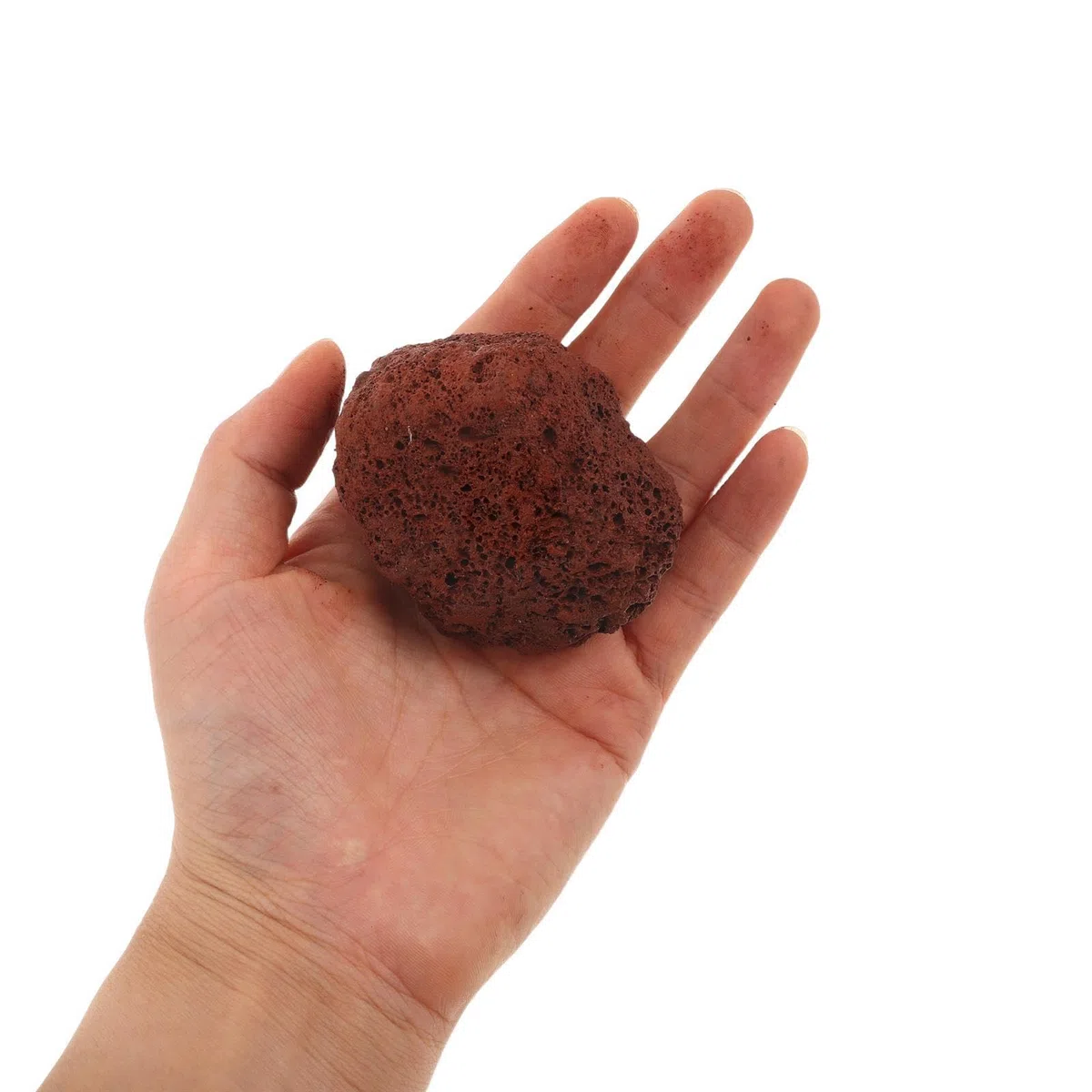 1 Bolsa de Roca volcánica Natural - Grava Decorativa para acuarios - Piedras filtrantes porosas para acuarios de Agua Dulce, Aproximadamente 1,5 kg/Bolsa, 3-5 cm