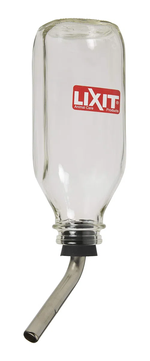 Lixit Glass Bird Water Bottle 32 oz Medium Tube 7/16 in GB32M by