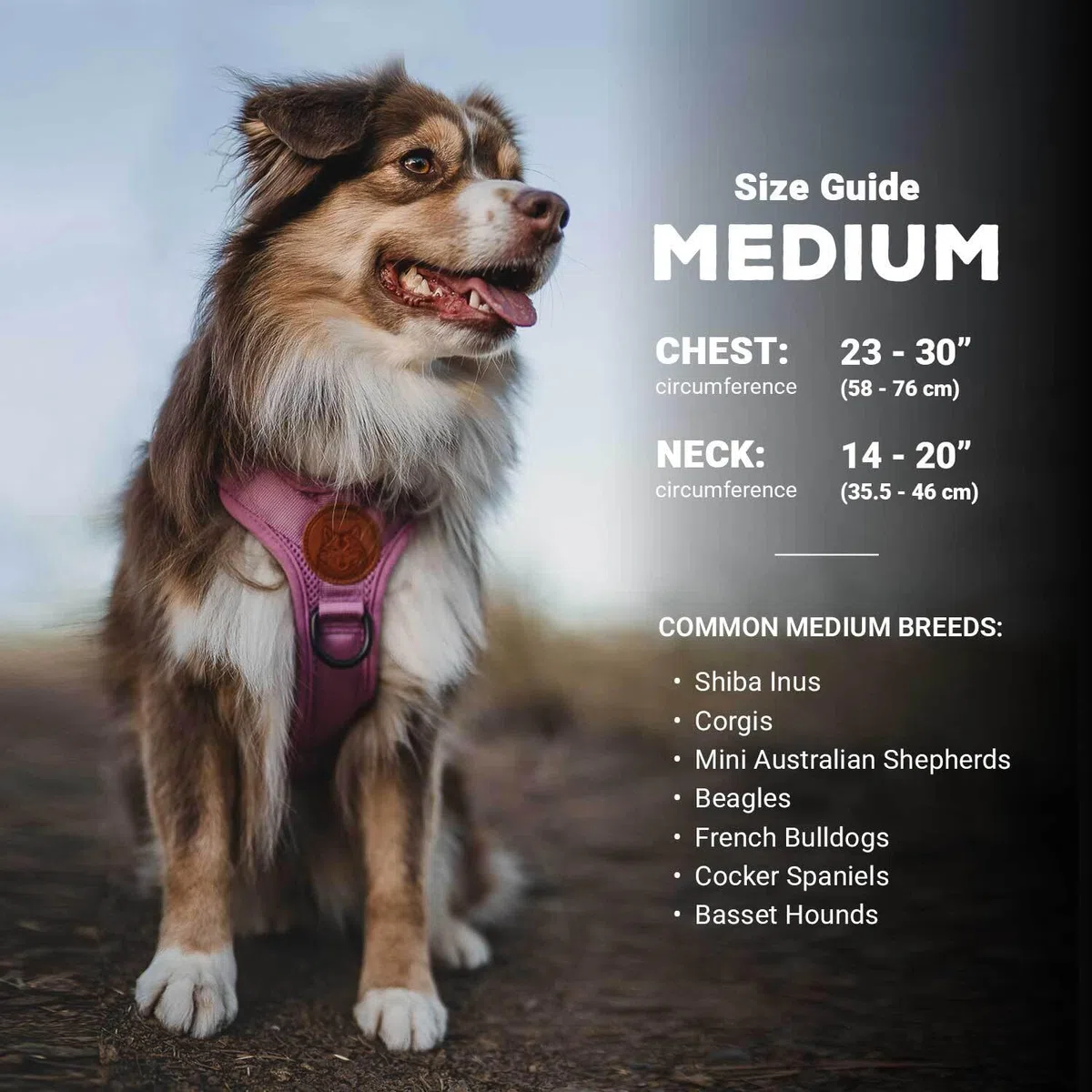 Wilderdog Arnés Ligero para Perro con Correas Reflectantes, tamaño Mediano, Color Azul pacífico