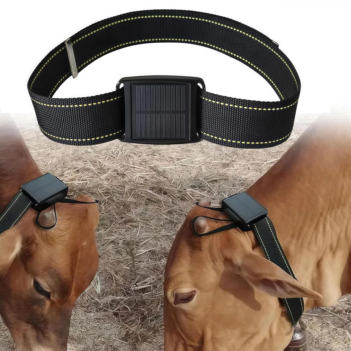 Collar antipérdida GPS para ganado y mascotas, rastreador de ubicación en tiempo real con geo-valla, luz de flash y alarma, distancia ilimitada