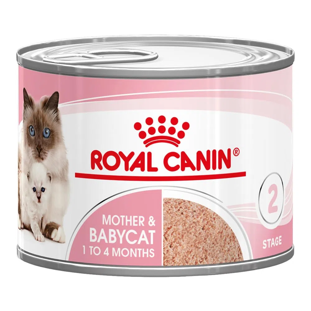 Royal Canin Mother & Babycat Mousse | 12 x 195 g | Alimento Completo para Gatos | Especialmente para la Gata Madre y Sus Gatitos | para apoyar Las defensas Naturales