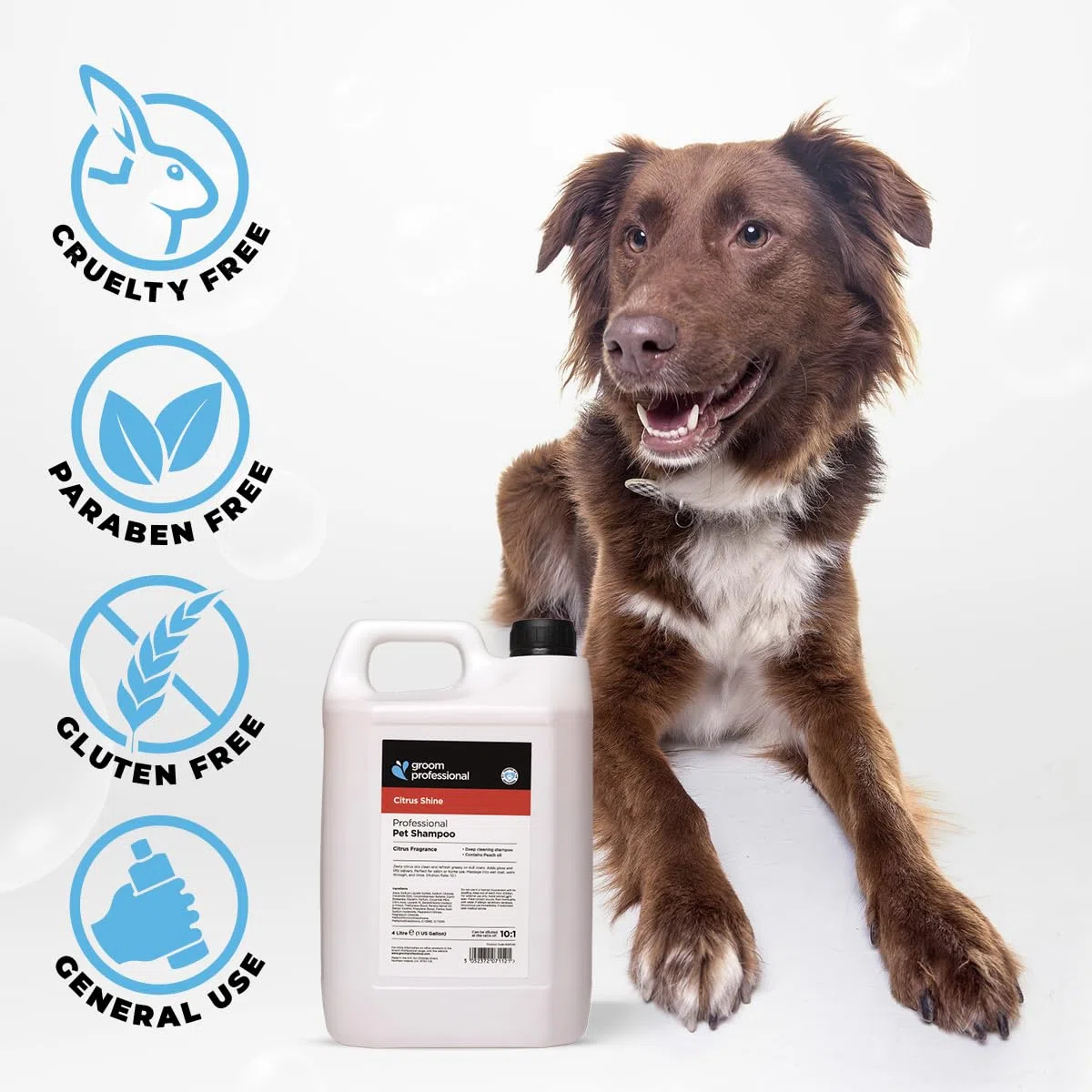 Groom Professional Citrus Shine Champú para perros (4 L) – Concentrado 10:1 con aceite de cítricos y melocotón, limpieza profunda y desengrasante, elimina olores y aroma fresco