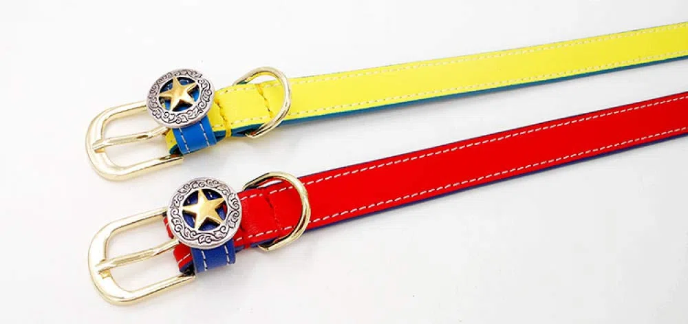 Correa para Mascotas Nuevo Collar de Perro de diseño Personalizado de Cuero Genuino para Mascotas, Collar de Gato, Accesorios para Perros, 100% Hecho a Mano, Collar de Perro pequeño para Cachorros-r