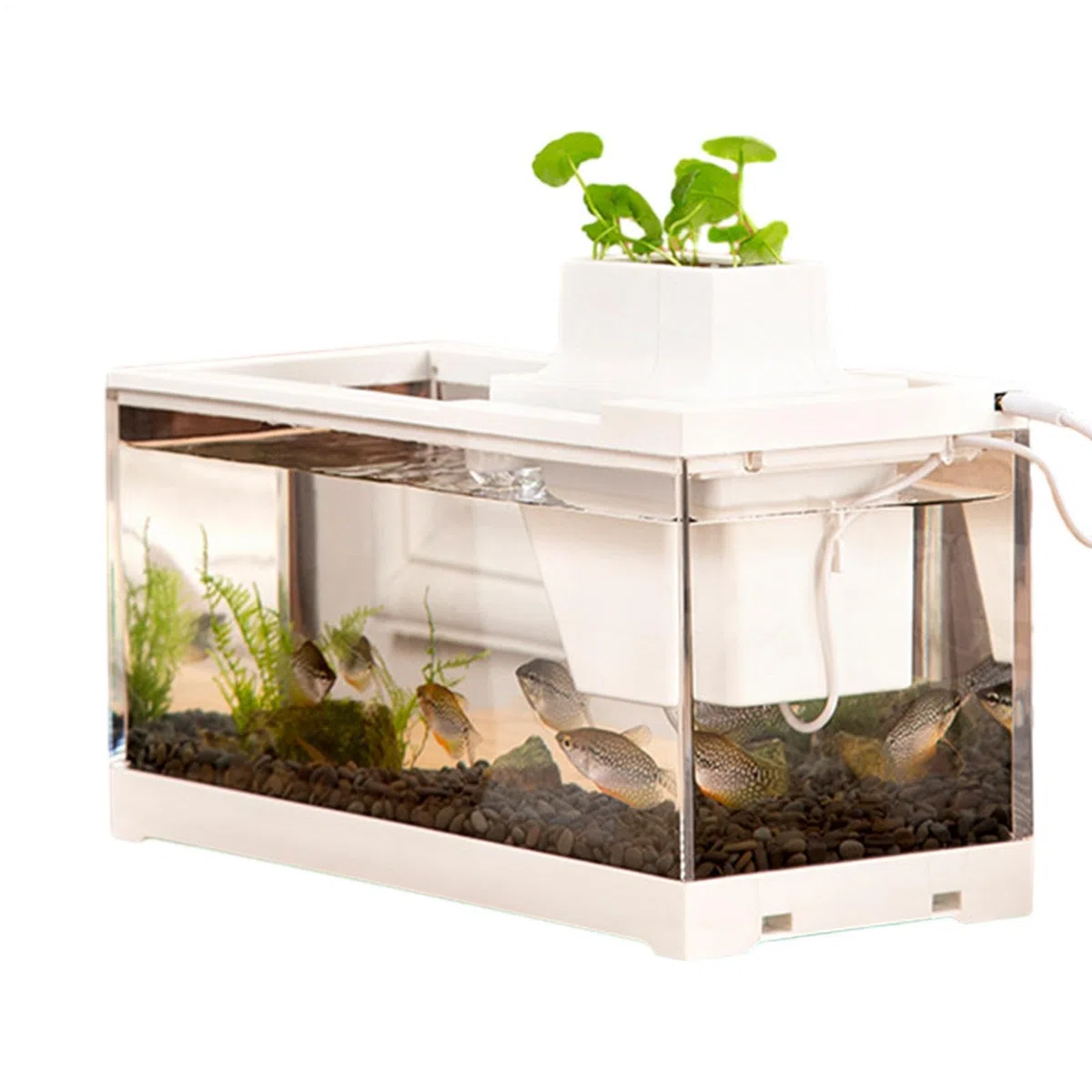 Acuario de Escritorio, pecera de Escritorio Mini Acuario pequeño, Abierto,