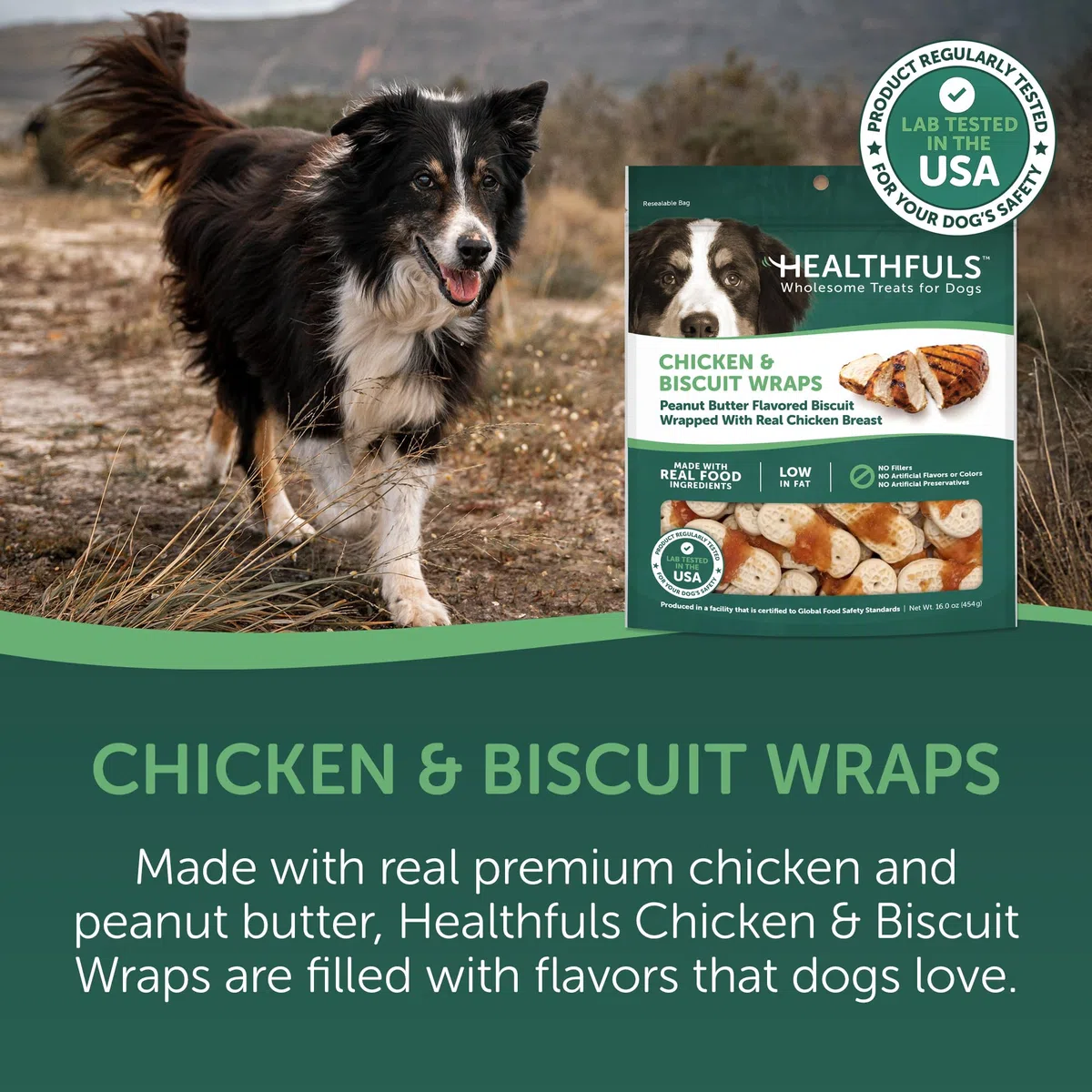Healthfuls Galletas para Perros con Sabor a Pollo y Mantequilla de maní, 16 onzas