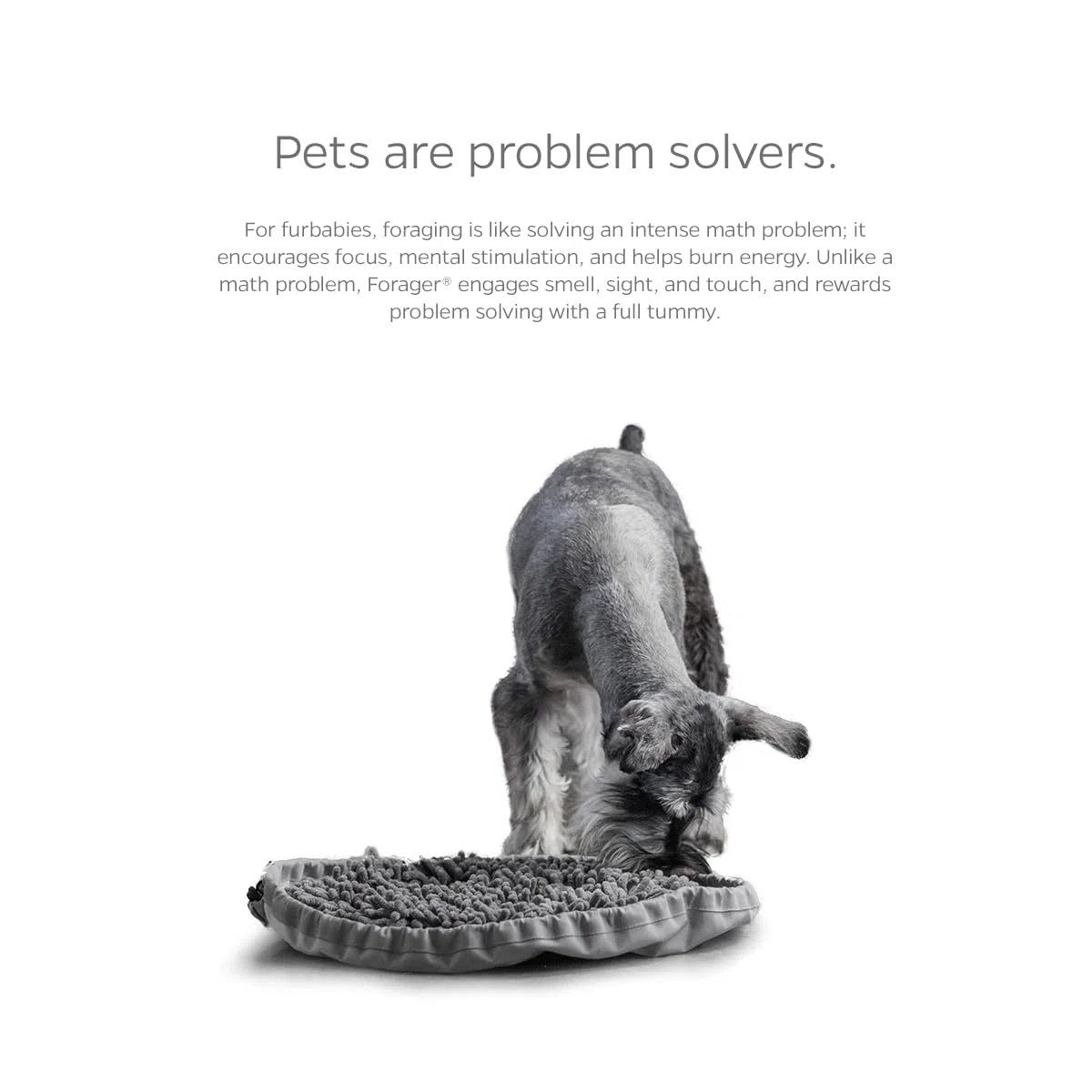 Pet Parents Tazones para recolectores, cuencos de alimentación lenta para perros con tecnología de hocico suave y respaldo antideslizante, alfombrilla de comedero para perros grandes y perros pequeños