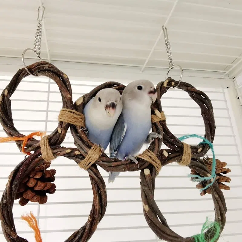 ArinkO Columpio de Madera para Loros con piñas para trepar y Tejer, Ideal para periquitos y cacatúas (Plata)