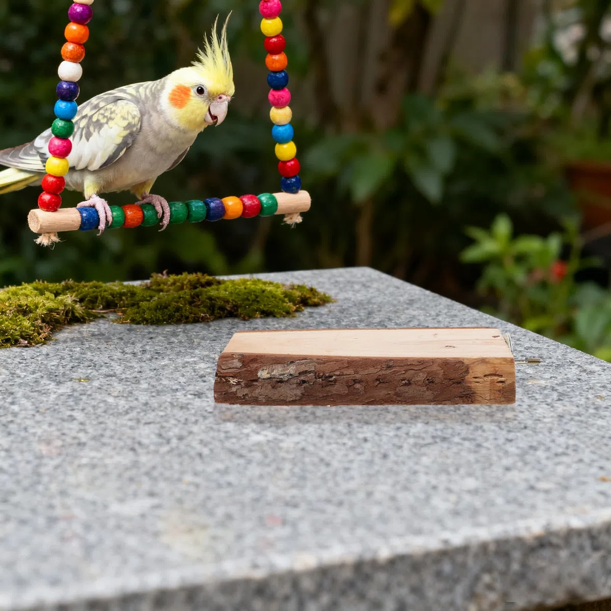 Perchas de Madera Natural y para Trepar y Uñas Juego de 5 para Loros Grandes con Cuerda, Soporte para Jaulas