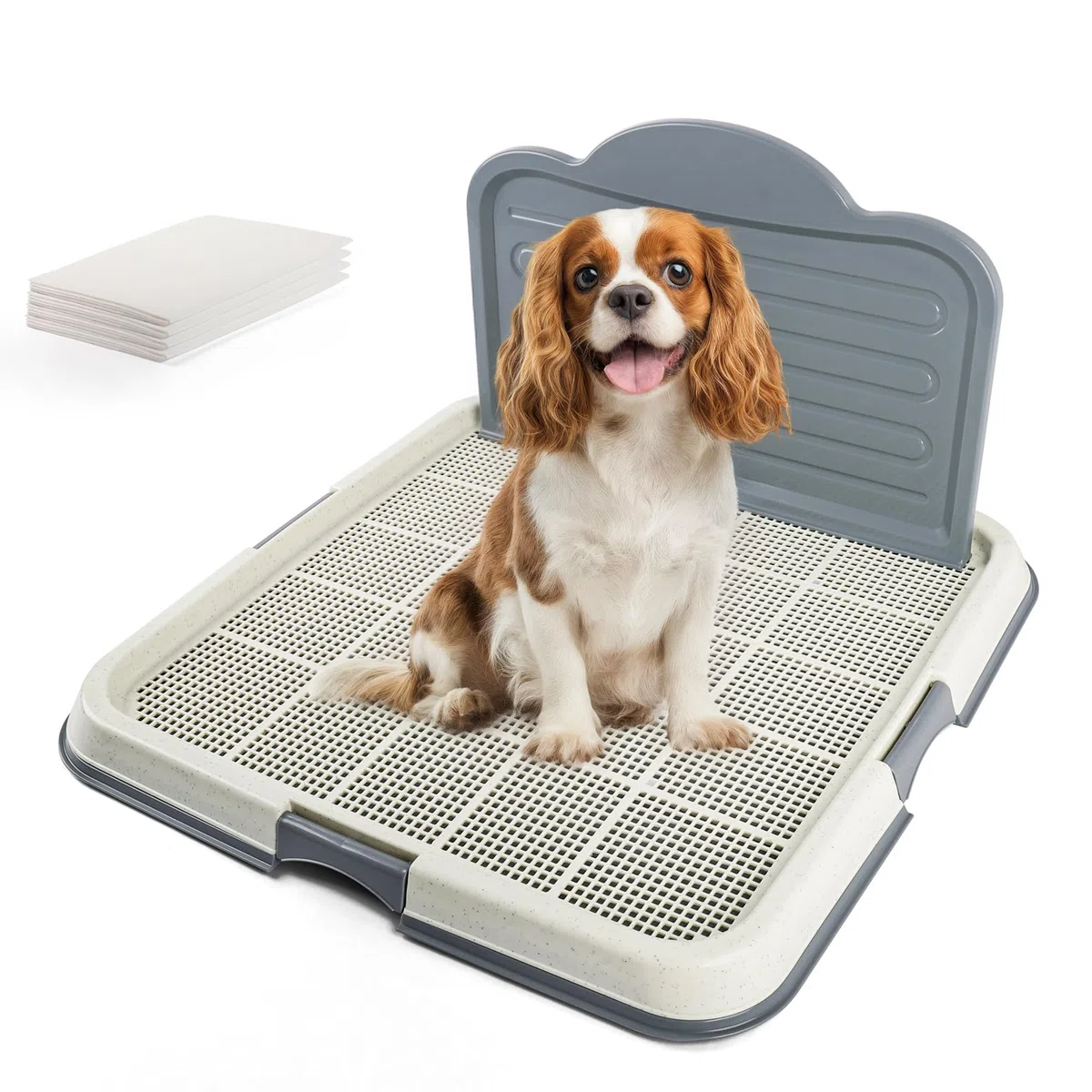 Pawise - Soporte para almohadilla de orina con pared, bandeja para almohadillas de entrenamiento, bandeja de entrenamiento de malla para una fácil limpieza, 60 cm x 60 cm + almohadilla para orina (4