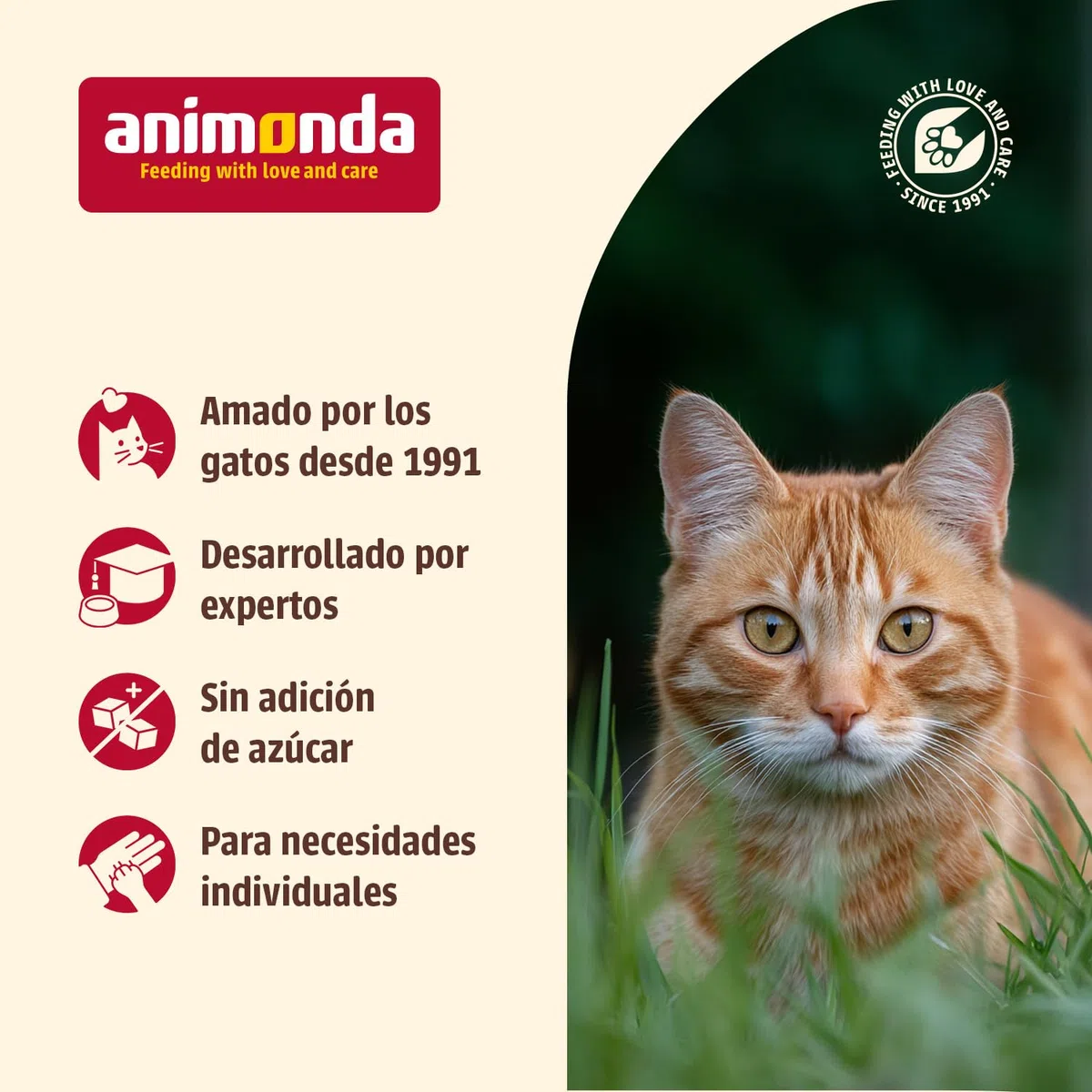 Comida para gatos animonda Carny Senior, comida húmeda para gatos a partir de 7 años, vacuno + corazón de pavo, 6 x 400 g