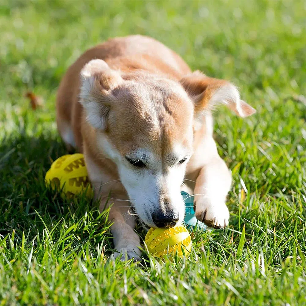 Juguetes para Cachorros, Pelota de Goma for Perros, Juguete for Cachorros, Grandes, Limpieza Dientes, Snack, 2 Unidades, Rojo, 6 cm(Green 6cm)