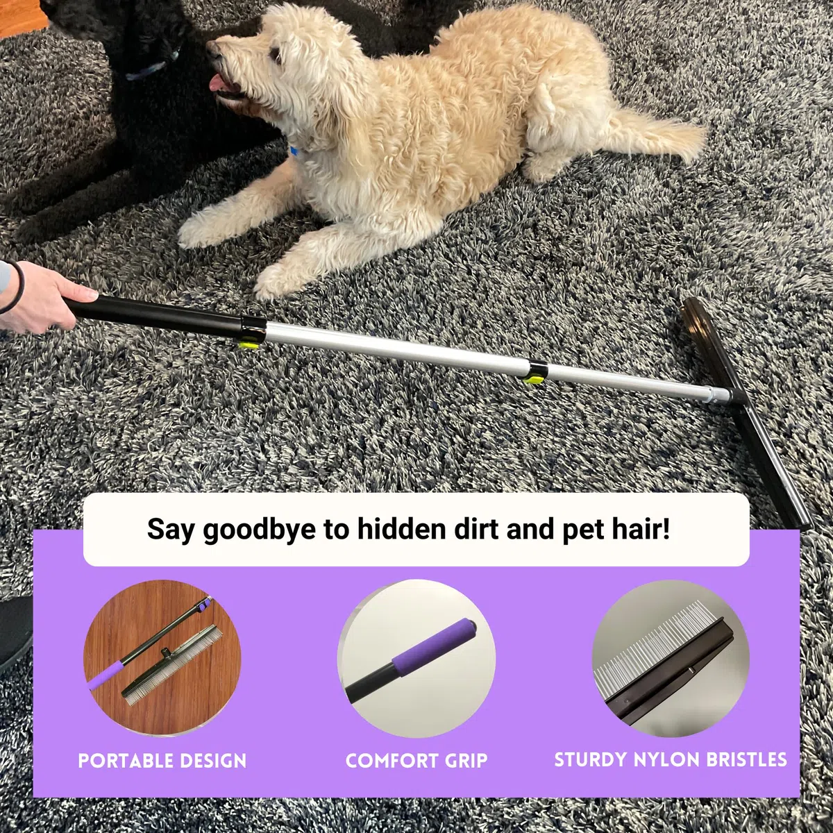 Room Groom - Rastrillo y Peluquero de Pet con Mango telescópico Ajustable de 54 Pulgadas, diseño portátil, Cepillo de Alfombra Ideal para Pelo de Animales, alfombras refrescantes, alfombras y césped