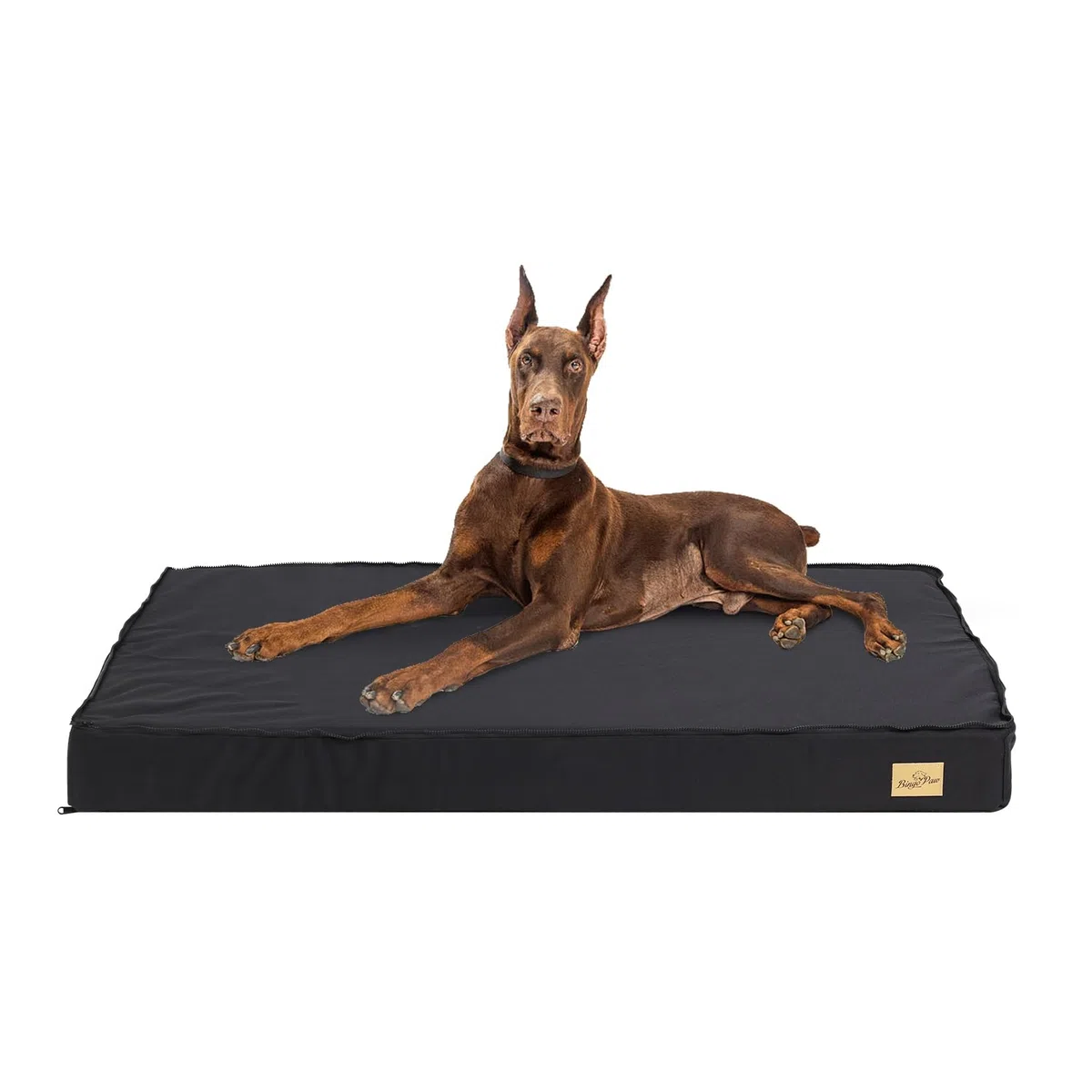BingoPaw Cama Perro Grande XXL: Colchoneta Colchon Perro Ortopedico 120x75x10 cm Impermeable con Funda Desenfundable y Lavable con Top de Manta de Felpa Desmontable con Cierre para Invierno Verano