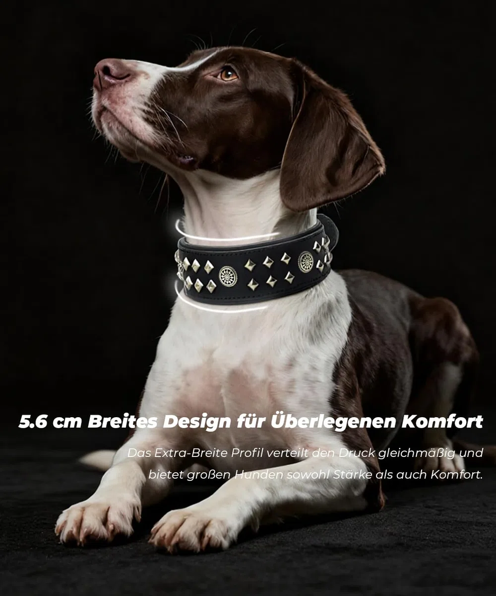 EliteGuard Collar de Perro Cuero 5,6 cm de ancho, Negro, M
